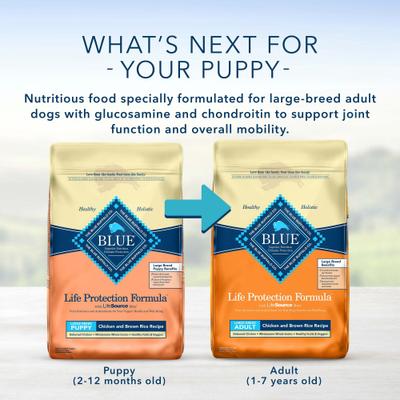 Show full view: Blue Buffalo Life Protection Formula Large Breed Puppy Chicken & Brown Rice Recipe Dry Dog Food, 24-lb bag slide 9 of 12