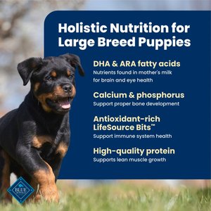 Blue Buffalo Life Protection Formula Large Breed Puppy Chicken & Brown Rice Recipe Dry Dog Food, 30-lb bag