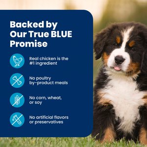 Blue Buffalo Life Protection Formula Large Breed Puppy Chicken & Brown Rice Recipe Dry Dog Food, 30-lb bag