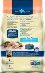 Blue Buffalo Life Protection Formula Large Breed Puppy Chicken & Brown Rice Recipe Dry Dog Food, 34-lb bag slide 2 of 9