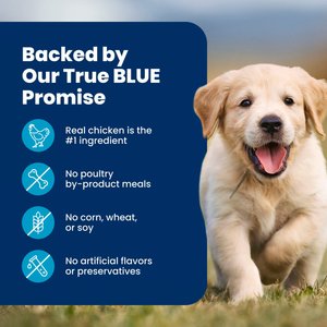 Blue Buffalo Life Protection Formula Puppy Chicken & Brown Rice Recipe Dry Dog Food, 30-lb bag