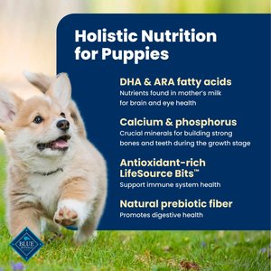 Blue Buffalo Life Protection Formula Puppy Chicken & Brown Rice Recipe Dry Dog Food, 30-lb bag