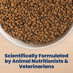 Blue Buffalo Life Protection Formula Puppy Chicken & Brown Rice Recipe Dry Dog Food, 30-lb bag