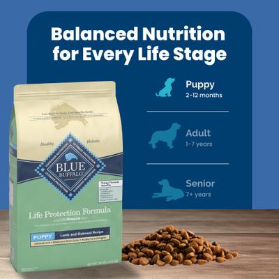 Show full view: Blue Buffalo Life Protection Formula Puppy Lamb & Oatmeal Recipe Dry Dog Food, 30-lb bag slide 9 of 12