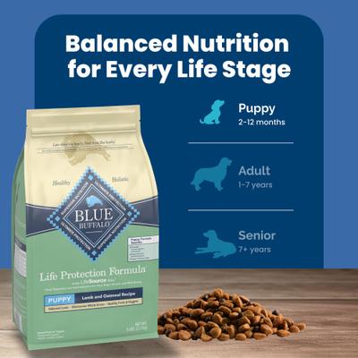 Show full view: Blue Buffalo Life Protection Formula Puppy Lamb & Oatmeal Recipe Dry Dog Food, 5-lb bag slide 9 of 12
