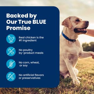 Blue Buffalo Life Protection Formula Senior Chicken & Brown Rice Recipe Dry Dog Food, 30-lb bag