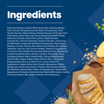 Blue Buffalo Life Protection Formula Small Bite Adult Chicken & Brown Rice Recipe Dry Dog Food