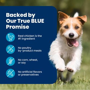 Blue Buffalo Life Protection Formula Small Breed Adult Chicken & Brown Rice Recipe Dry Dog Food, 15-lb bag