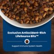 Show in main carousel: Blue Buffalo Life Protection Formula Small Breed Adult Chicken & Brown Rice Recipe Dry Dog Food, 5-lb bag slide 9 of 12