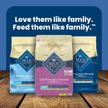 Show in main carousel: Blue Buffalo Life Protection Formula Small Breed Adult Chicken & Brown Rice Recipe Dry Dog Food, 5-lb bag slide 10 of 12