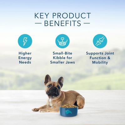 Show full view: Blue Buffalo Life Protection Formula Small Breed Adult Lamb & Brown Rice Recipe Dry Dog Food, 5-lb bag slide 7 of 11