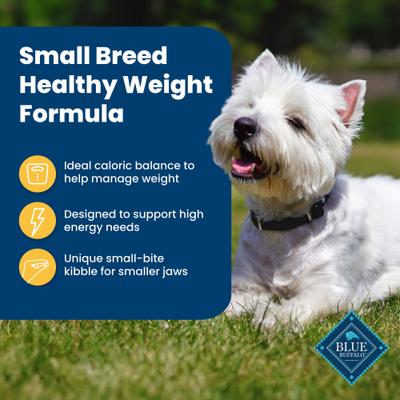 Show full view: Blue Buffalo Life Protection Formula Small Breed Healthy Weight Adult Chicken & Brown Rice Recipe Dry Dog Food, 5-lb bag slide 5 of 12