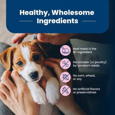 Blue Buffalo Life Protection Formula Small Breed Puppy Chicken & Oatmeal Recipe Dry Dog Food