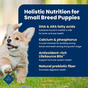 Blue Buffalo Life Protection Formula Small Breed Puppy Chicken & Oatmeal Recipe Dry Dog Food, 5-lb bag
