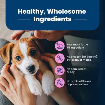 Show full view: Blue Buffalo Life Protection Formula Small Breed Puppy Chicken & Oatmeal Recipe Dry Dog Food, 5-lb bag slide 7 of 12