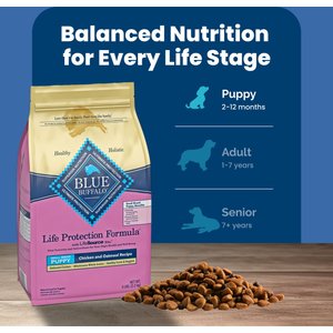 Blue Buffalo Life Protection Formula Small Breed Puppy Chicken & Oatmeal Recipe Dry Dog Food, 5-lb bag