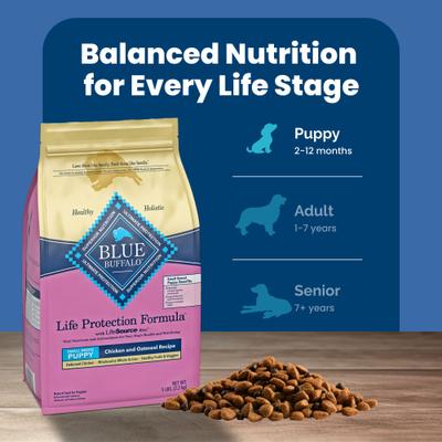 Show full view: Blue Buffalo Life Protection Formula Small Breed Puppy Chicken & Oatmeal Recipe Dry Dog Food, 5-lb bag slide 9 of 12