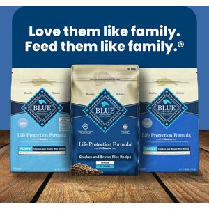 Blue Buffalo Life Protection Formula Small Breed Puppy Chicken & Oatmeal Recipe Dry Dog Food, 5-lb bag