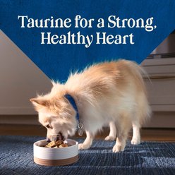 Blue Buffalo Love Made Fresh Refrigerated All Natural Beef with Carrots & Peas Dog Food, 1-lb roll, bundle of 12 slide 2 of 9