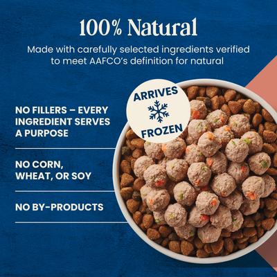 Show full view: Blue Buffalo Love Made Fresh Frozen All Natural Beef Meatball with Carrots & Peas Dog Food, 4-lb pouch, case of 3 slide 5 of 10