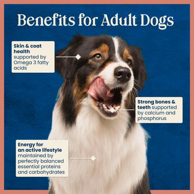 Show full view: Blue Buffalo Love Made Fresh Frozen All Natural Beef Meatball with Carrots & Peas Dog Food, 4-lb pouch, case of 3 slide 9 of 10