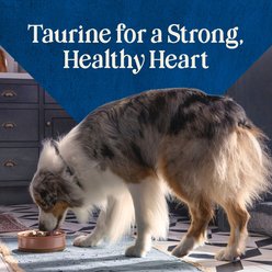 Blue Buffalo Love Made Fresh Frozen All Natural Beef Meatball with Carrots & Peas Dog Food, 4-lb pouch, case of 3 slide 2 of 9