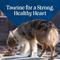 Show in main carousel: Blue Buffalo Love Made Fresh Frozen All Natural Beef Meatball with Carrots & Peas Dog Food, 4-lb pouch, case of 3 slide 10 of 10