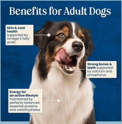 Blue Buffalo Love Made Fresh All Natural Chicken Meatball with Carrots & Peas Dog Food, 4-lb pouch, case of 3 slide 2 of 9
