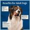 Show in main carousel: Blue Buffalo Love Made Fresh All Natural Chicken Meatball with Carrots & Peas Dog Food, 4-lb pouch, case of 3 slide 9 of 11