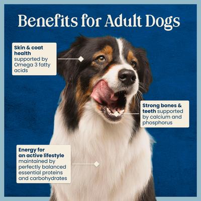 Show full view: Blue Buffalo Love Made Fresh All Natural Chicken Meatball with Carrots & Peas Dog Food, 4-lb pouch, case of 3 slide 9 of 11