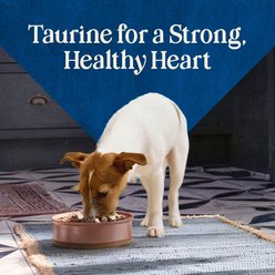 Blue Buffalo Love Made Fresh Frozen All Natural Chicken Meatball with Carrots & Peas Dog Food, 1-lb pouch, bundle of 8 slide 2 of 9
