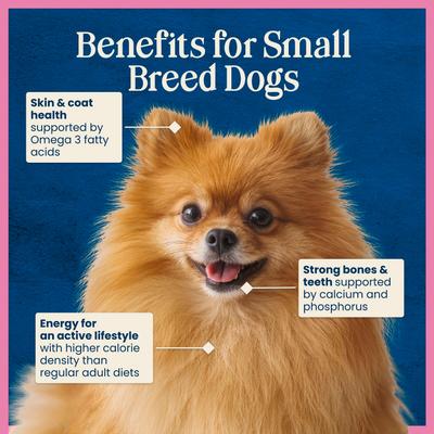 Show full view: Blue Buffalo Love Made Fresh Frozen All Natural Chicken Meatball with Carrots & Peas Dog Food, 1-lb pouch, case of 4 slide 9 of 11