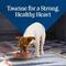 Show in main carousel: Blue Buffalo Love Made Fresh Frozen All Natural Chicken Meatball with Carrots & Peas Dog Food, 1-lb pouch, case of 4 slide 10 of 11