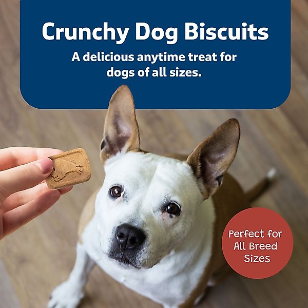 Show full view: Blue Buffalo Health Bars Bacon, Egg & Cheese Mini Dog Treats, 2-lb box slide 5 of 11