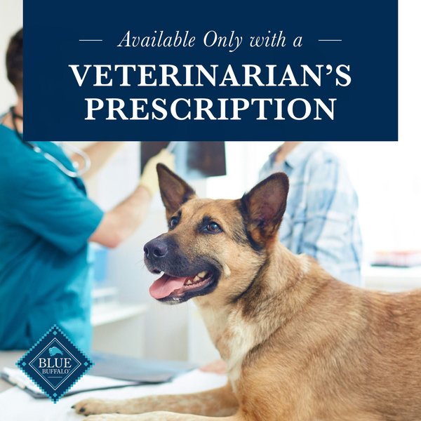 A closer look at Natural Dog Food For Grain Intolerance