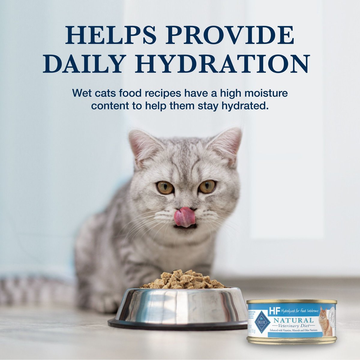 Best Wet Cat Food for Hypercalcemia: Top Healthy Picks 2025