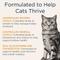 Show in main carousel: Blue Buffalo Natural Veterinary Diet K+M Kidney + Mobility Support Grain-Free Dry Cat Food, 7-lb bag + Blue Buffalo Natural Veterinary Diet K+M Kidney + Mobility Support Grain-Free Canned Cat Food, 5.5-oz, case of 24 slide 6 of 7