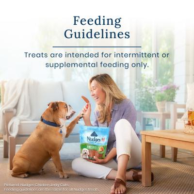 Show full view: Blue Buffalo Nudges Jerky Bites Chicken Jerky Dog Treats, 16-oz bag, 2 count slide 10 of 11