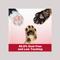 Show in main carousel: Blue Buffalo Sensitive Stomach Chicken Dry Food + Arm & Hammer Litter Clump & Seal Scented Cat Litter slide 9 of 9