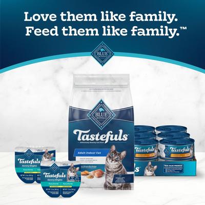 Show full view: Blue Buffalo Tastefuls Chicken & Brown Rice Recipe Adult Indoor Dry Cat Food, 3-lb bag slide 9 of 10