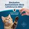 Show in main carousel: Blue Buffalo Tastefuls Chicken & Brown Rice Recipe Kitten Dry Cat Food, 5-lb bag slide 8 of 11