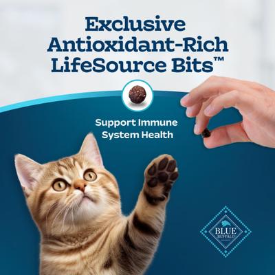 Show full view: Blue Buffalo Tastefuls Chicken & Brown Rice Recipe Kitten Dry Cat Food, 7-lb bag slide 8 of 11