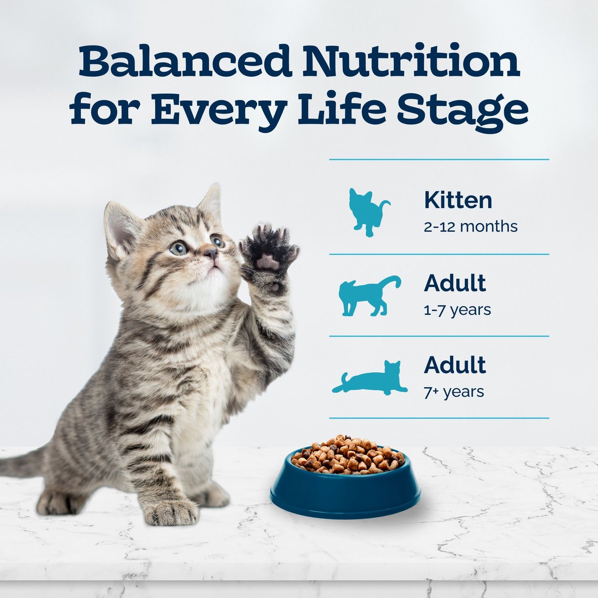 Blue Buffalo Longevity Kitten Dry Cat Food