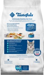 Blue Buffalo Tastefuls Chicken & Brown Rice Recipe Sensitive Stomach Adult Dry Cat Food, 10-lb bag slide 2 of 9