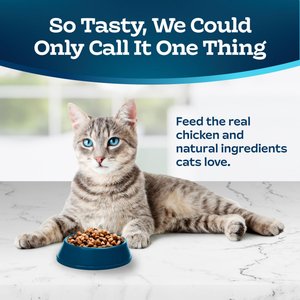 Blue Buffalo Tastefuls Chicken & Brown Rice Recipe Sensitive Stomach Adult Dry Cat Food, 10-lb bag