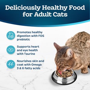 Blue Buffalo Tastefuls Chicken & Brown Rice Recipe Sensitive Stomach Adult Dry Cat Food, 10-lb bag