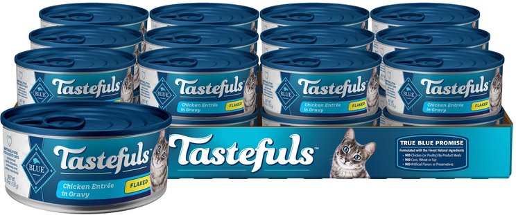 Blue Buffalo Wet Cat Food - Free shipping | Chewy