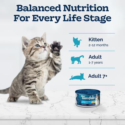 Show full view: Blue Buffalo Tastefuls Chicken Entrée Pate Kitten Canned Cat Food, 3-oz can, 24 count slide 9 of 11
