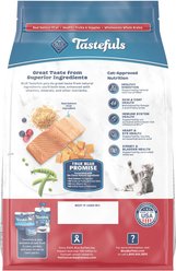 Blue Buffalo Tastefuls Indoor Salmon & Brown Rice Adult Dry Cat Food, 3-lb bag slide 2 of 9