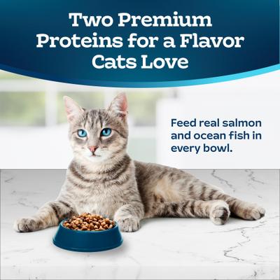 Show full view: Blue Buffalo Tastefuls Multi-Protein Salmon & Ocean Fish Recipe Adult Dry Cat Food, 7-lb bag slide 4 of 11